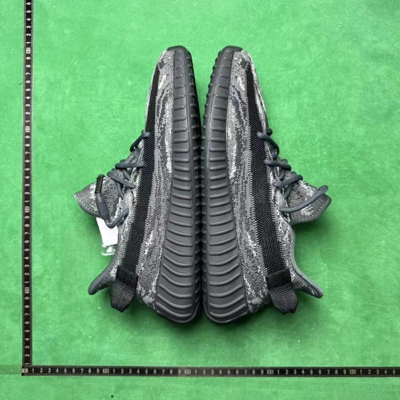 Black Tyrannosaurus ID 4811