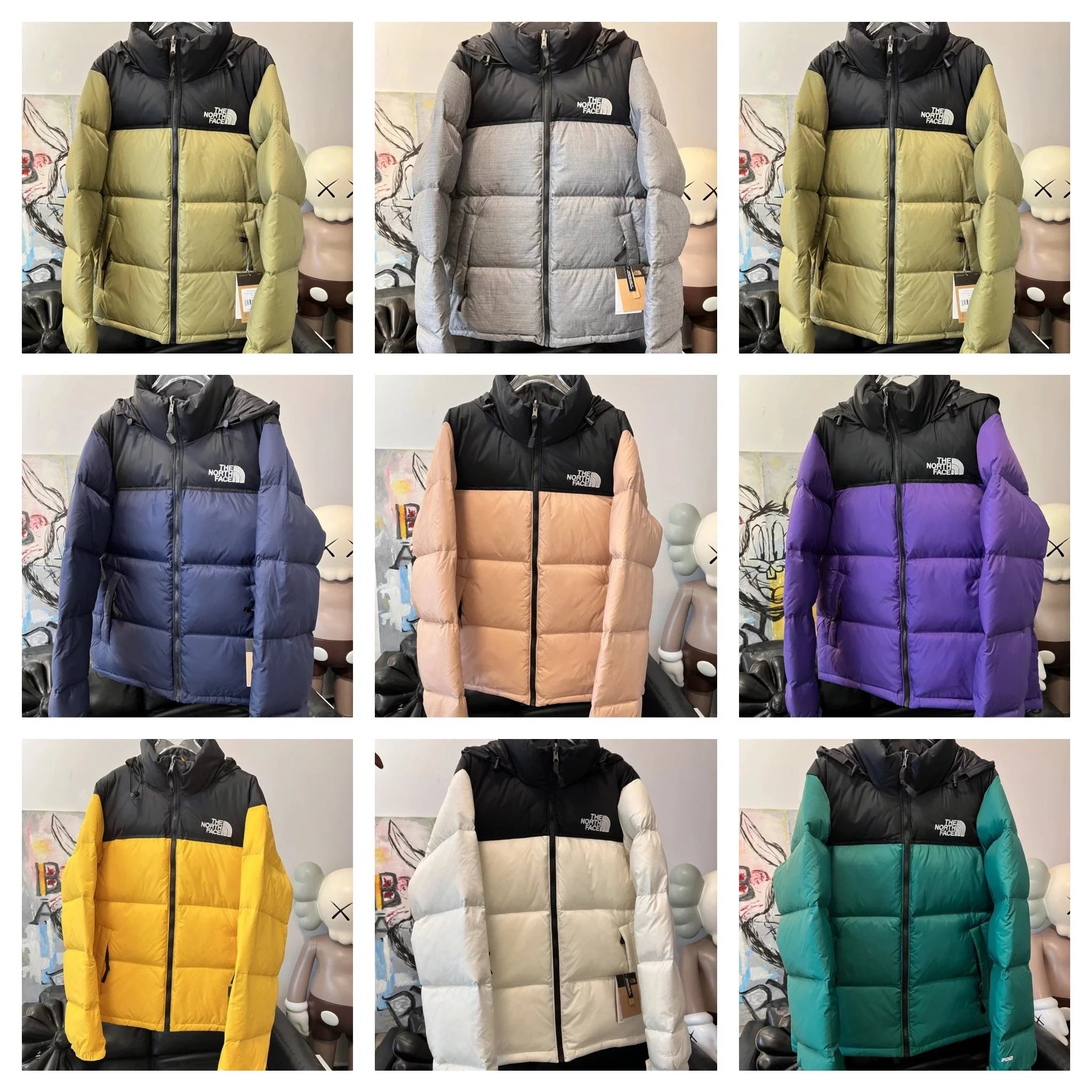 THE NORTH FACE Rainbow 1996 Down Jacket