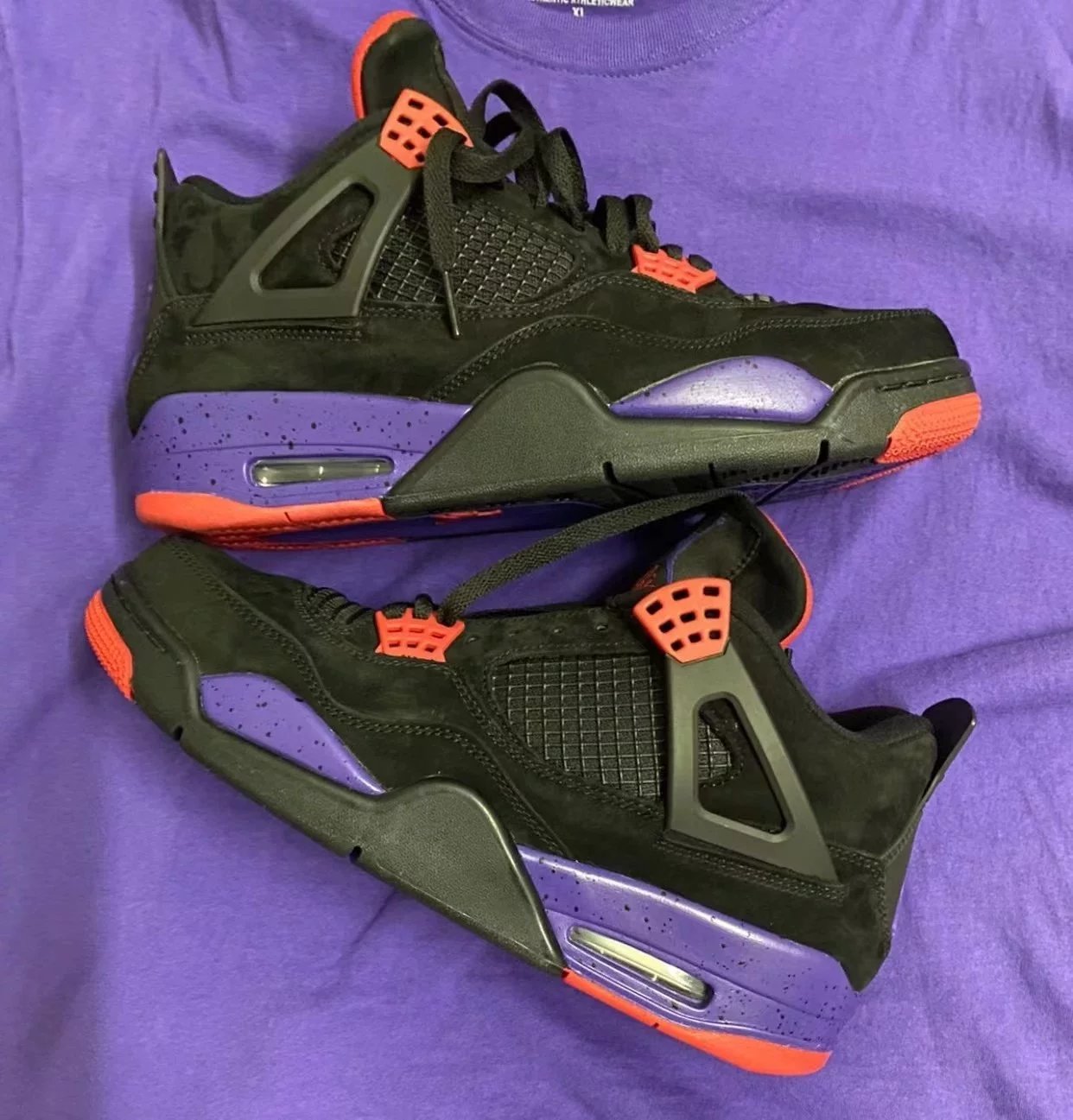 Raptors (Pure Original Version)