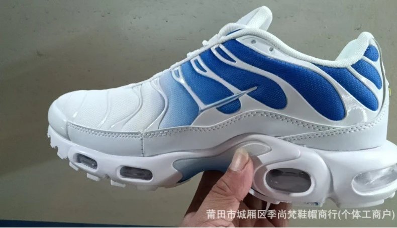 Nike Air Max Plus White Blue Gradient Running Shoes