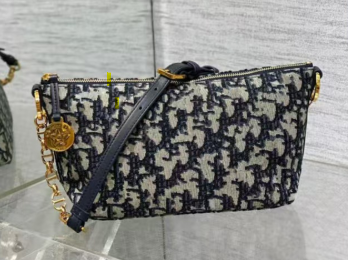Dior bag-1
