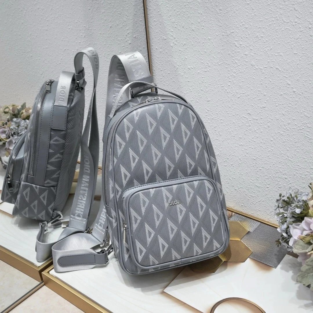 Dior bag-10