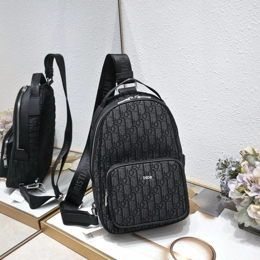 Dior bag-10