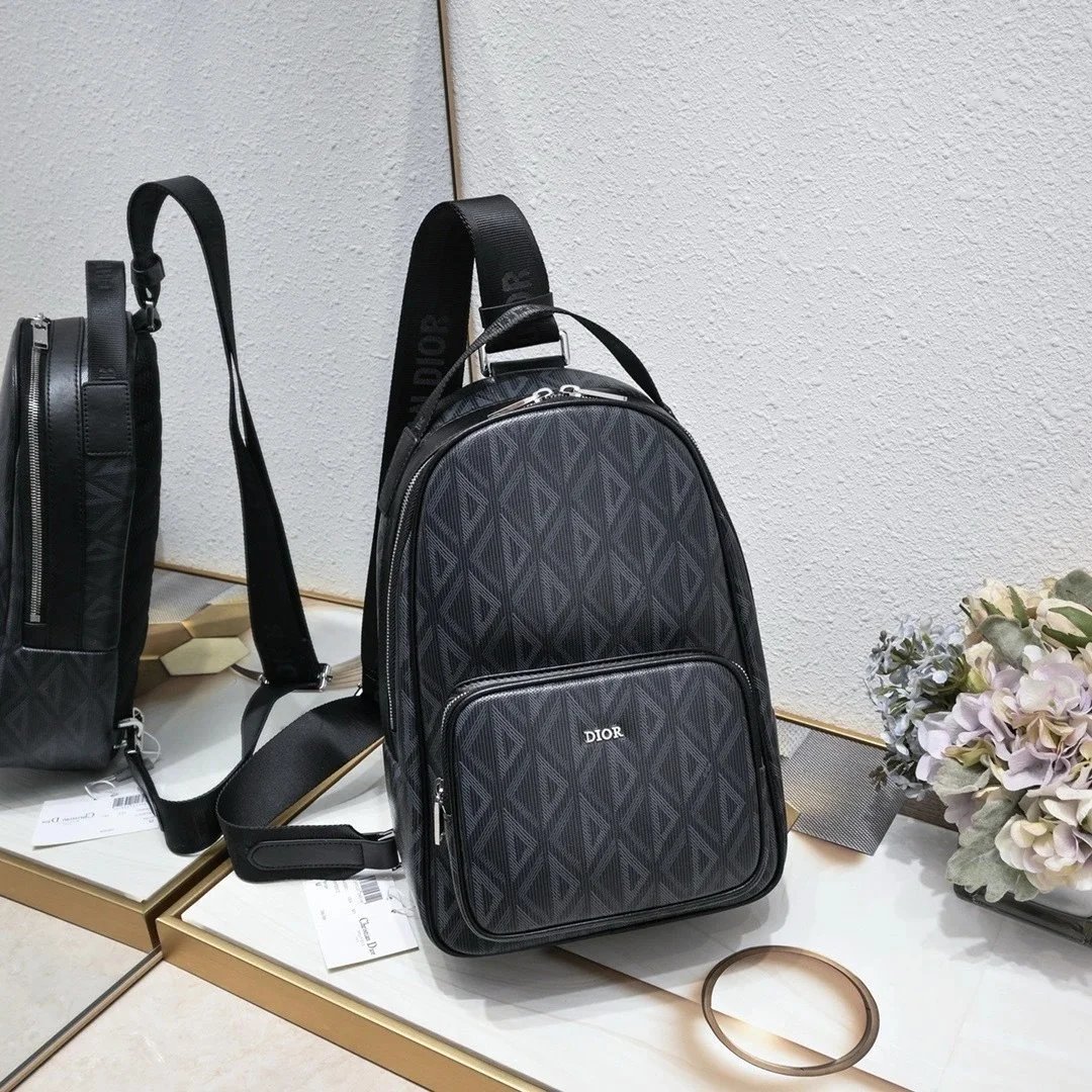 Dior bag-10
