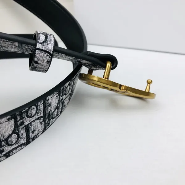 Dior Oblique Canvas Belt Burgundy and Beige - 16