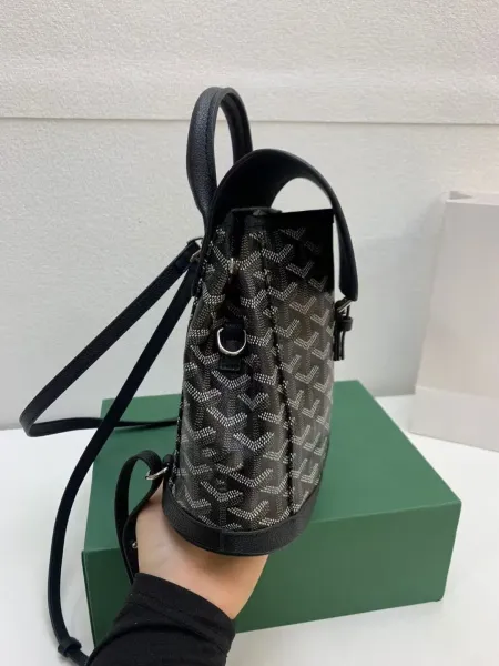 Goyard Saint-Louis Mini Backpack Brown and Black Canvas - 11