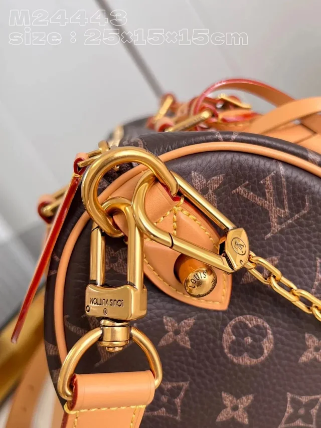 Louis Vuitton Handbags Monogram top-handle bag with detachable shoulder strap product detail image 8