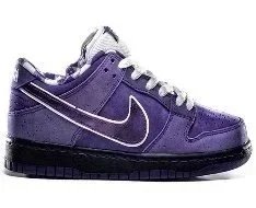 Dunk Purple Lobster BV1310-555