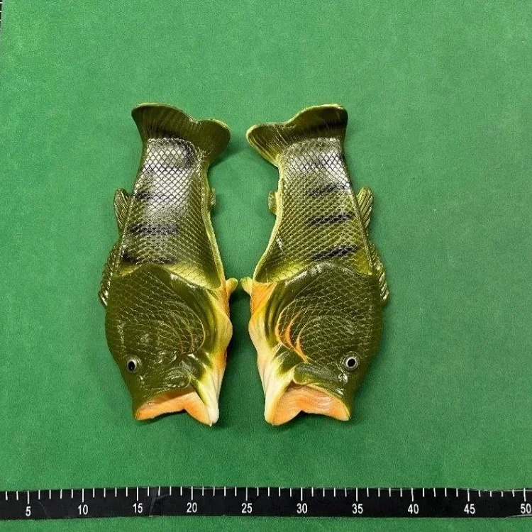 FISH SLIDES