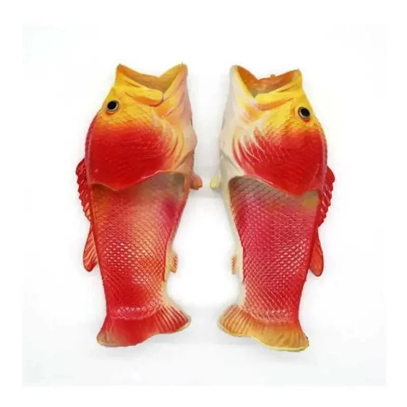 Indo-Pacific wrasse (Gomphosus varius)