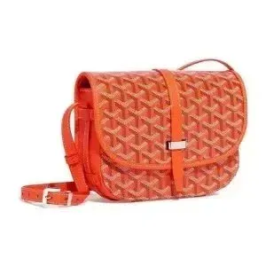 Goyard Saint Louis PM Orange Crossbody Bag - 1