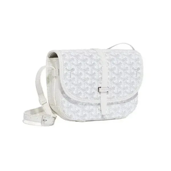 Goyard Saint Louis PM White Leather Handbag - 28