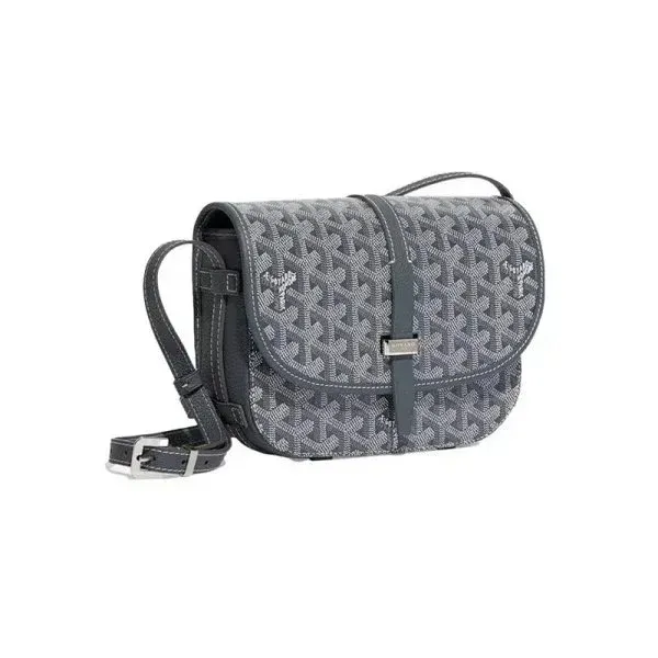Goyard Saint Louis PM White Leather Handbag - 33
