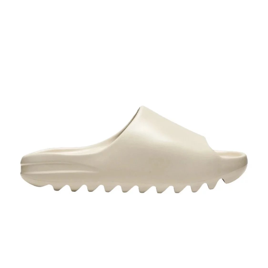 Bone FW6345