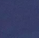 Navy blue top N243