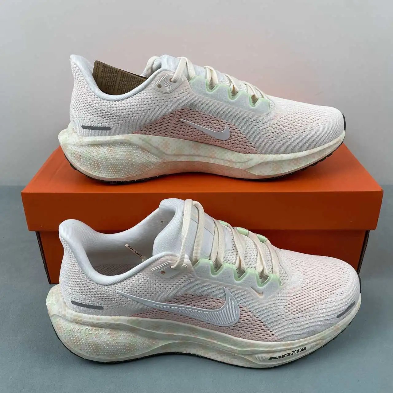 NIKE Air Zoom Pegasus 41 HM5539-133