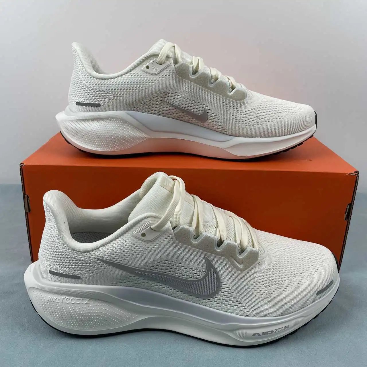 NIKE Air Zoom Pegasus 41 HQ3492-133