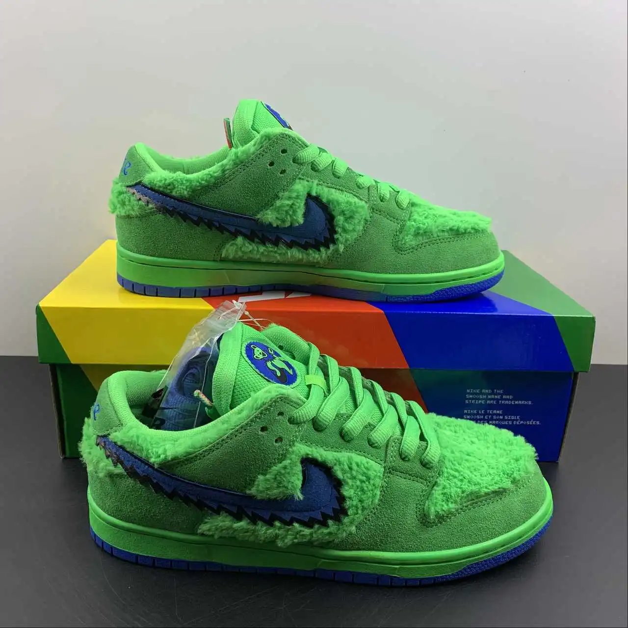 Nike Dunk Low CJ5378-300