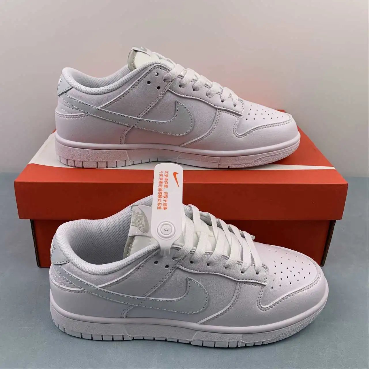 Nike Dunk Low DV0831-101