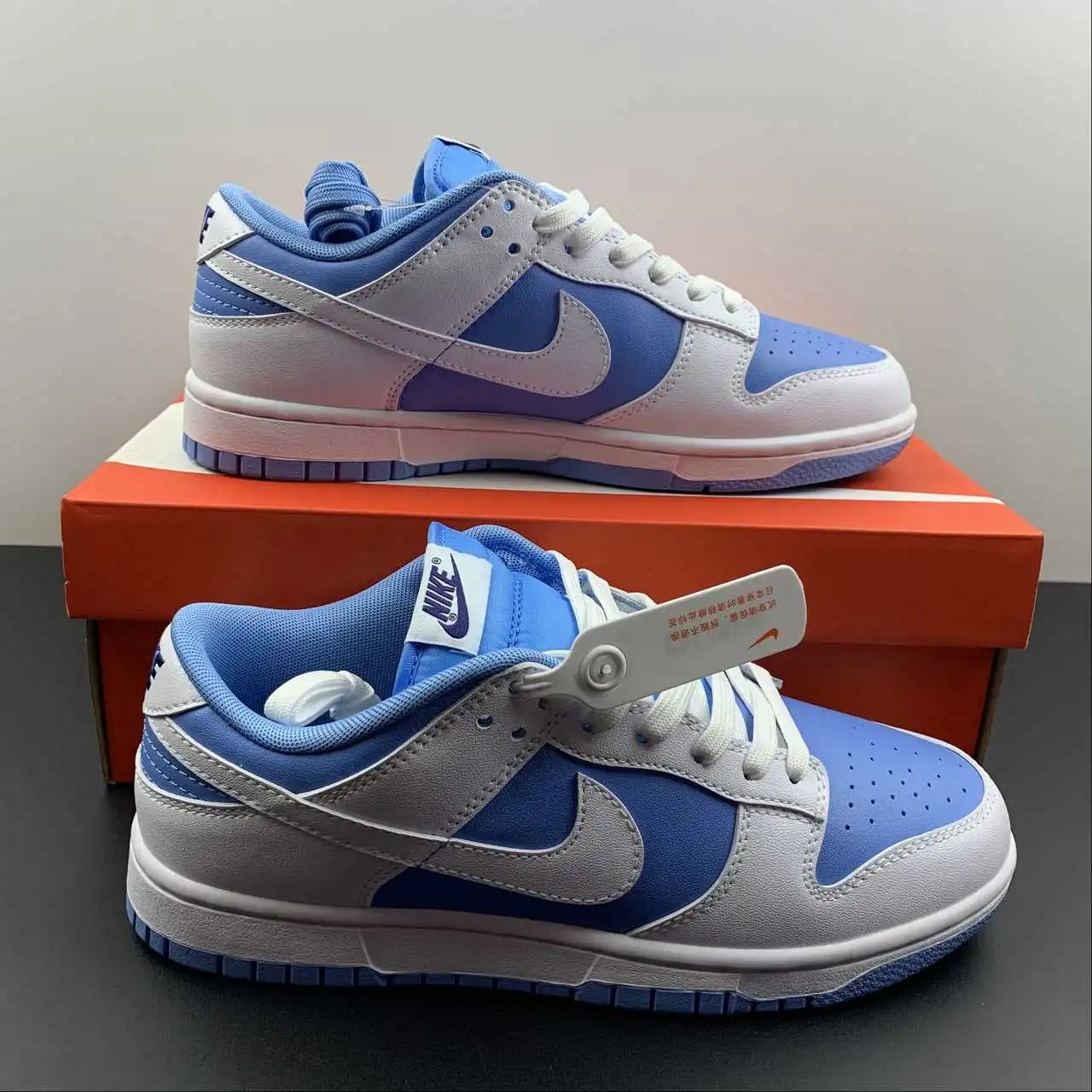 Nike Dunk Low DJ9955-101