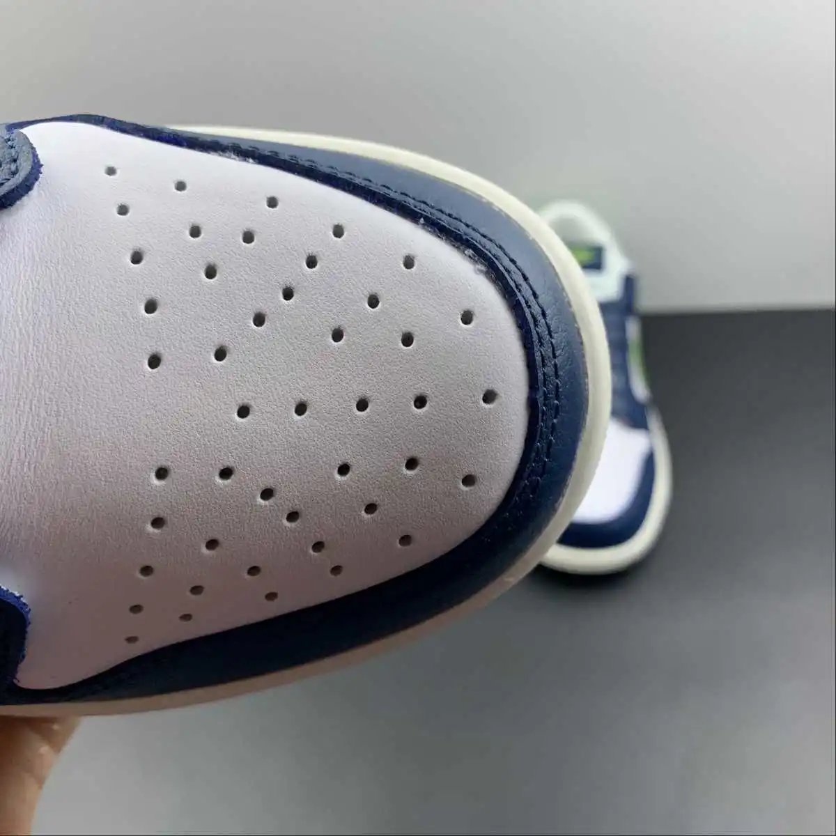 Nike Dunk Low 309431-031 8