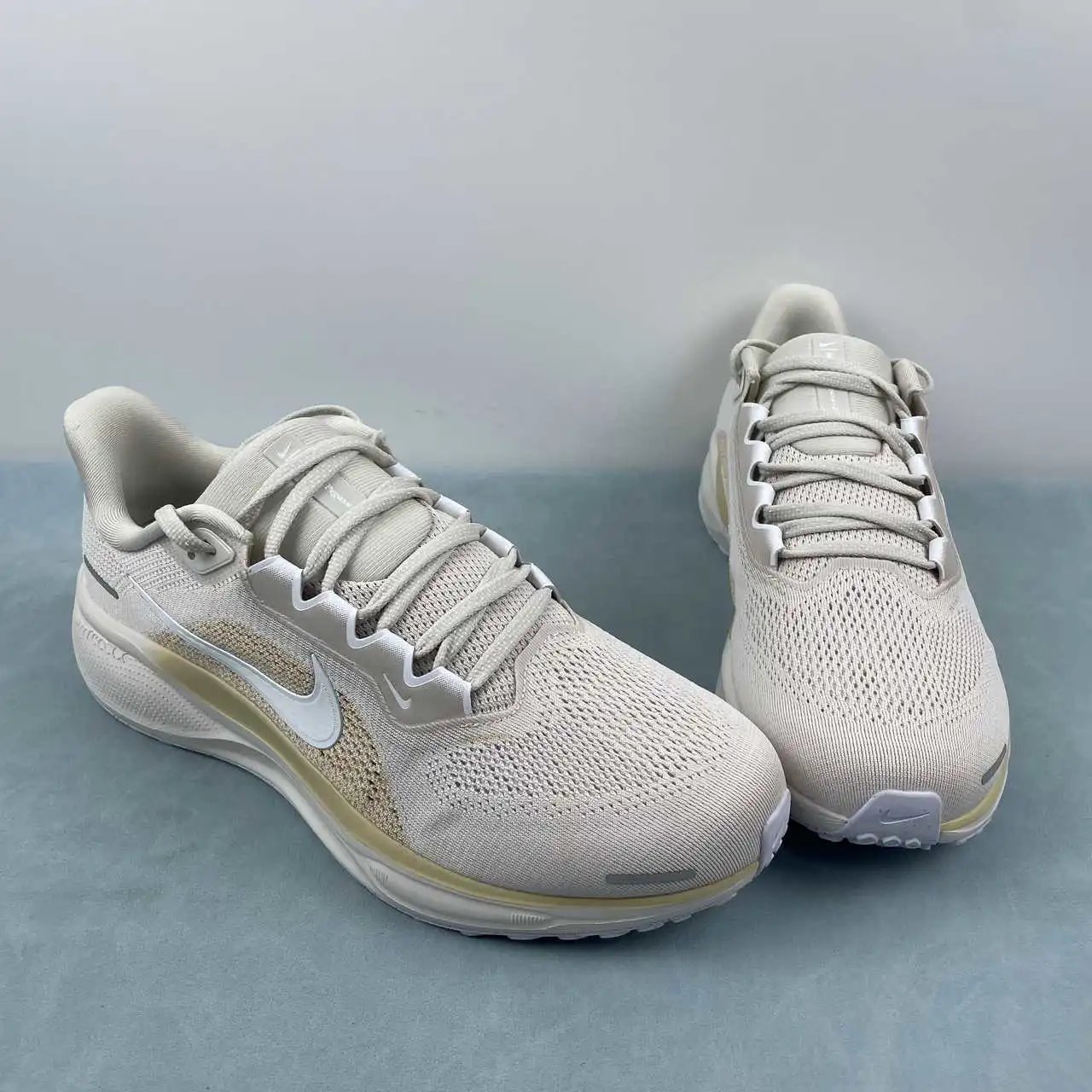 NIKE Air Zoom Pegasus 41 FD2722-106 thumbnail 2