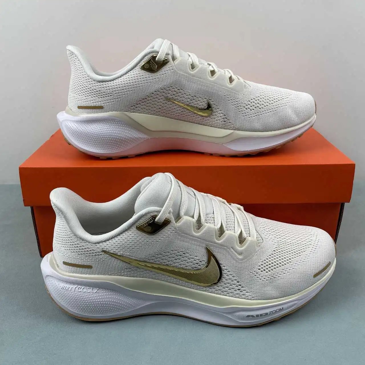 NIKE Air Zoom Pegasus 41 FD2723-005