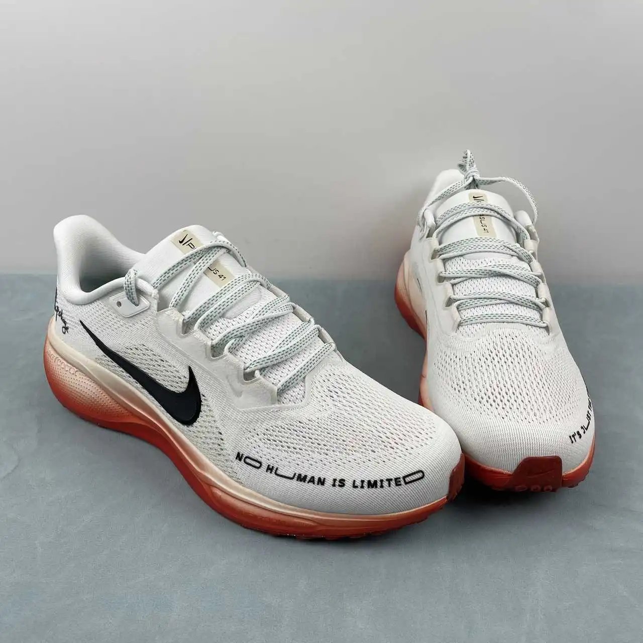 NIKE Air Zoom Pegasus 41 HJ7037-100 thumbnail 2