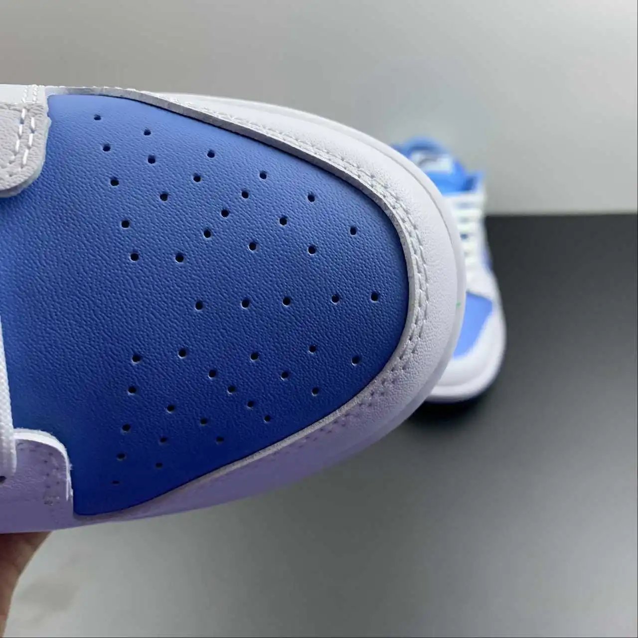 Nike Dunk Low DJ9955-101 8