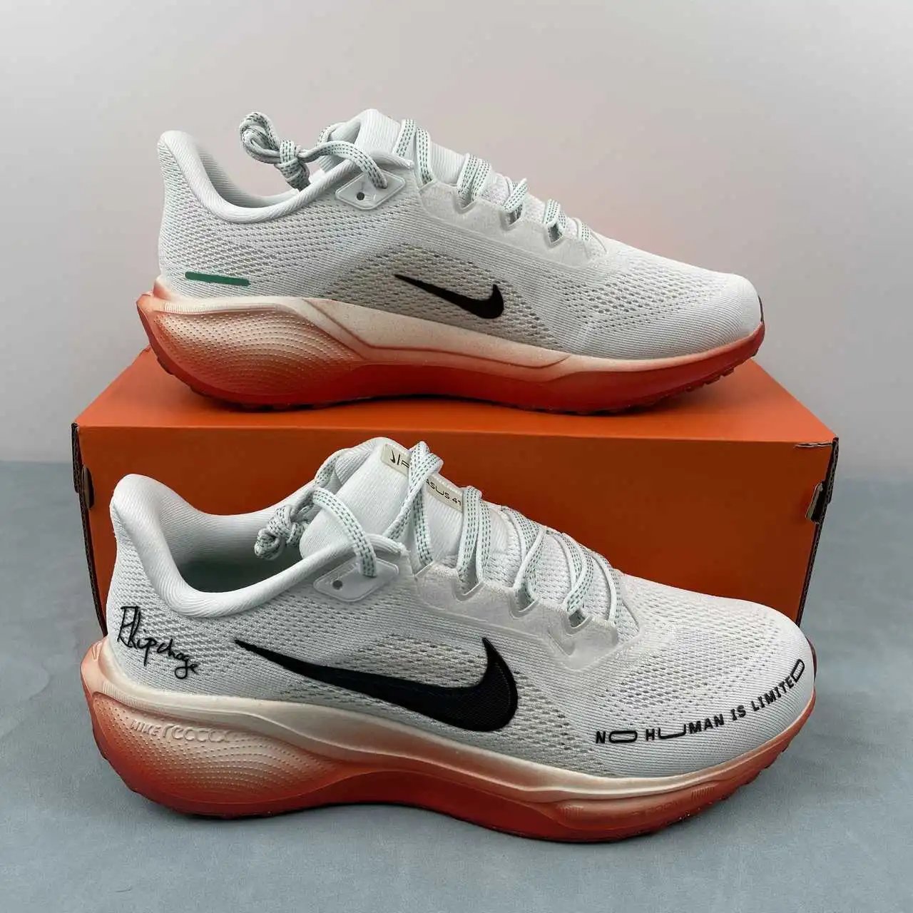 NIKE Air Zoom Pegasus 41 HJ7037-100