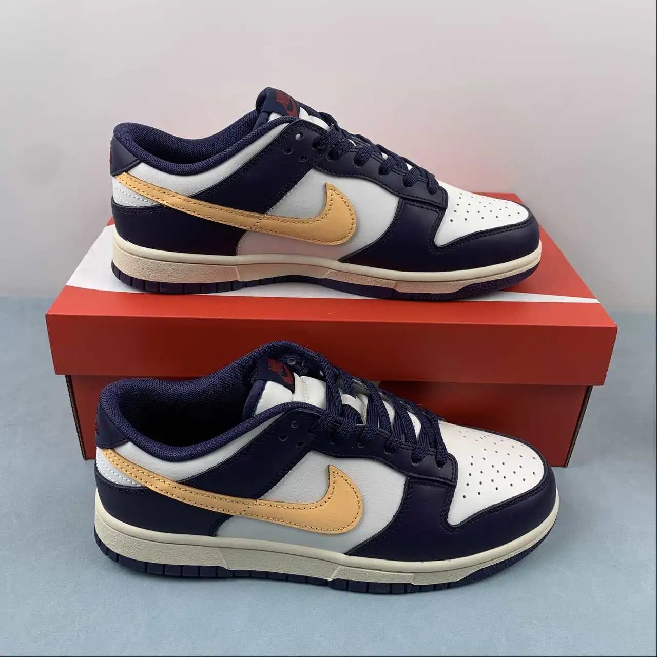 Nike Dunk Low FV8106-181