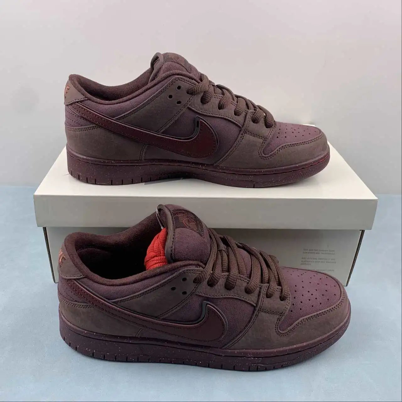 Nike Dunk Low FN0619-600
