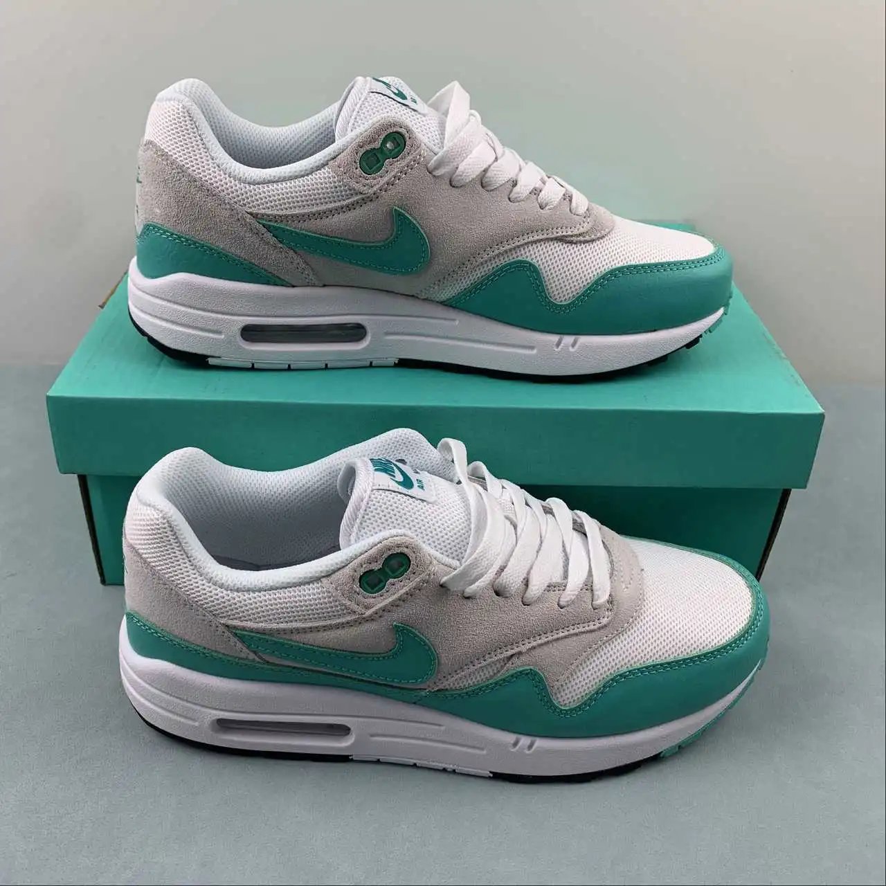 Nike Air Max1 DZ4549-001