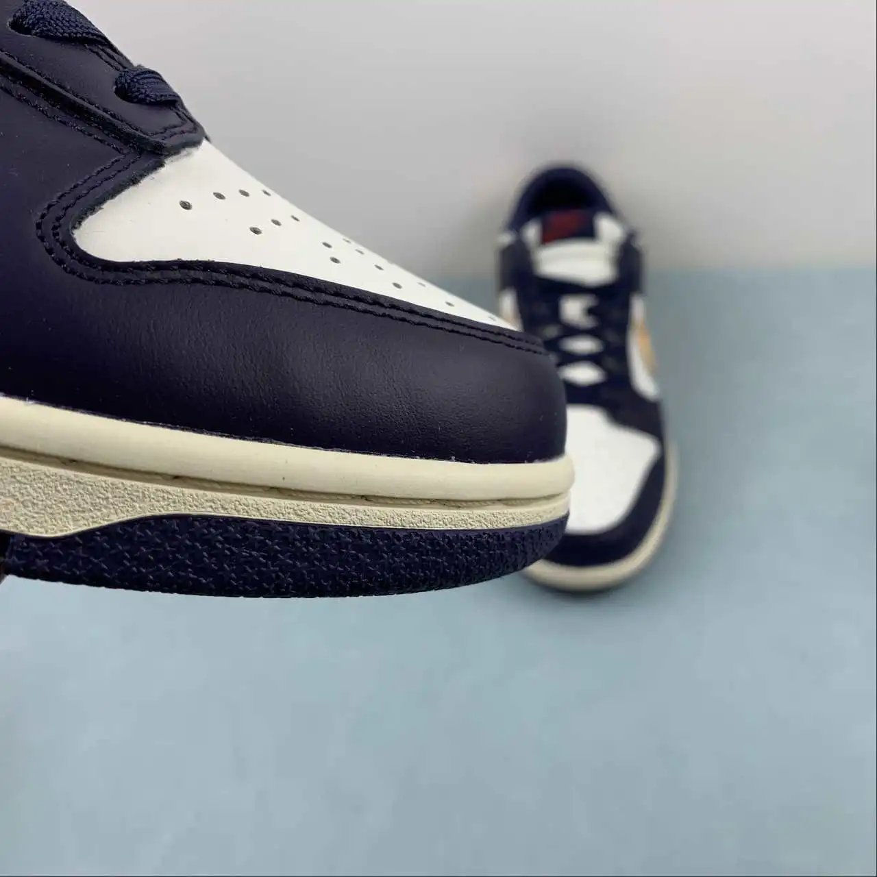Nike Dunk Low FV8106-181 7