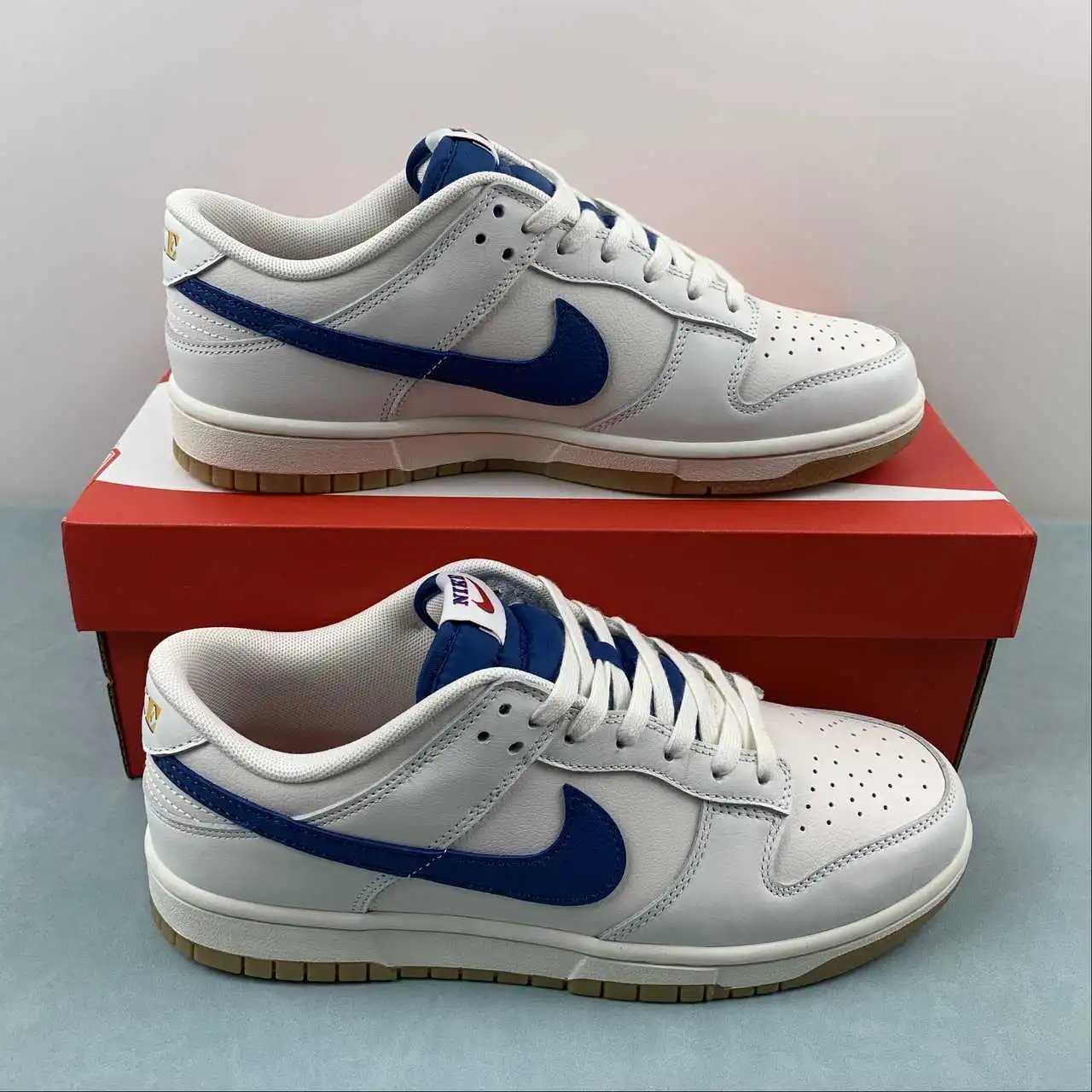 Nike Dunk Low DX3198-133
