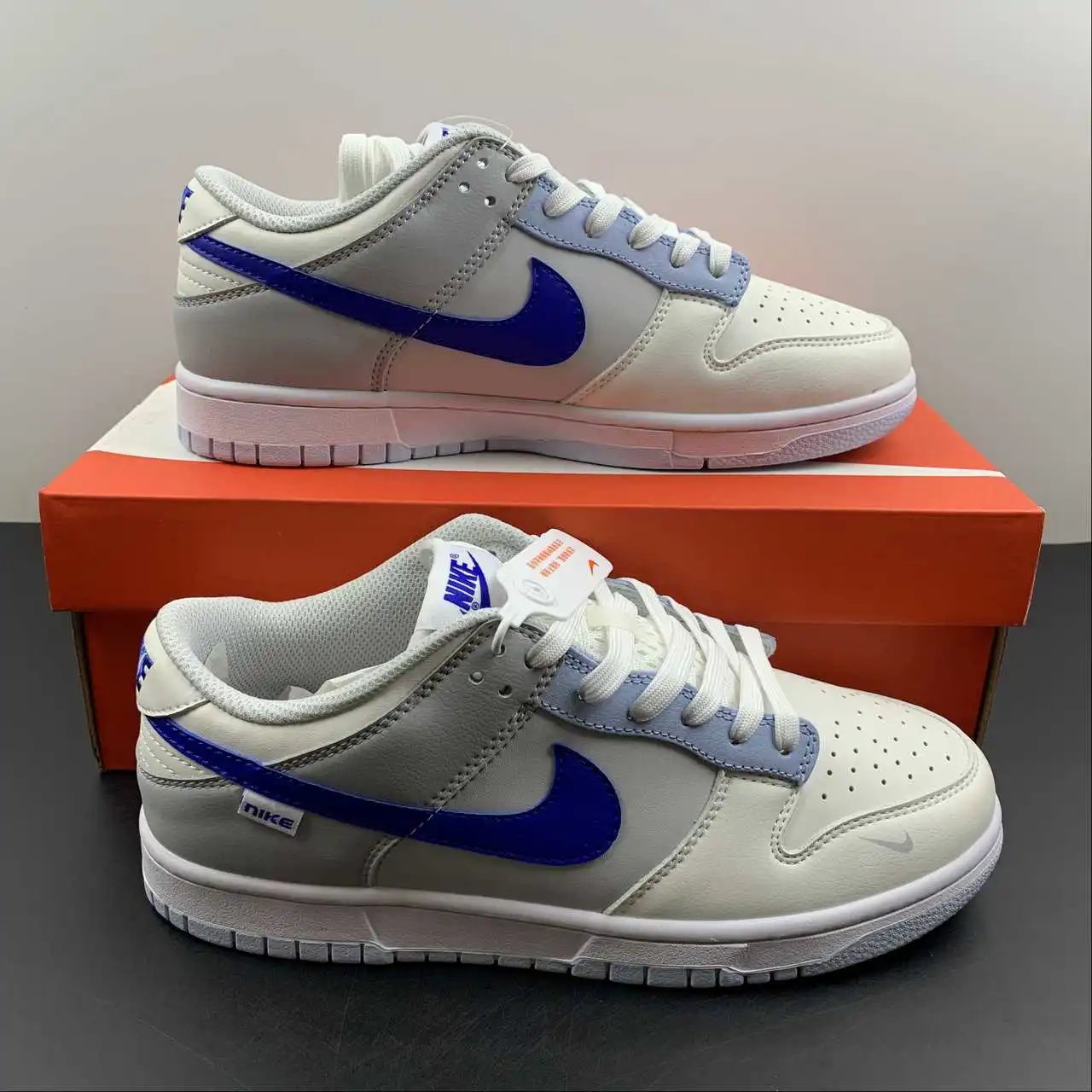 Nike Dunk Low FB1843-141