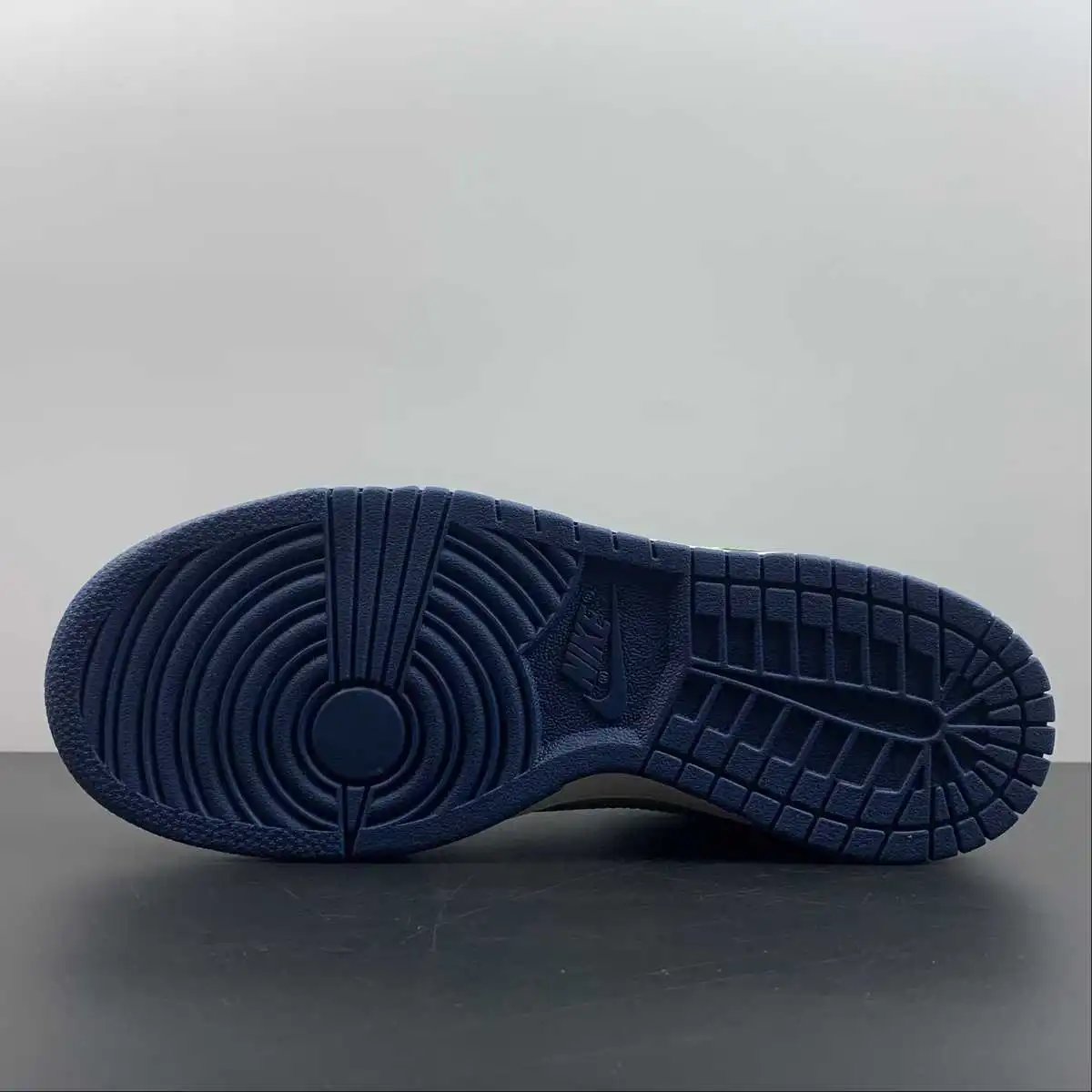Nike Dunk Low 309431-031 12