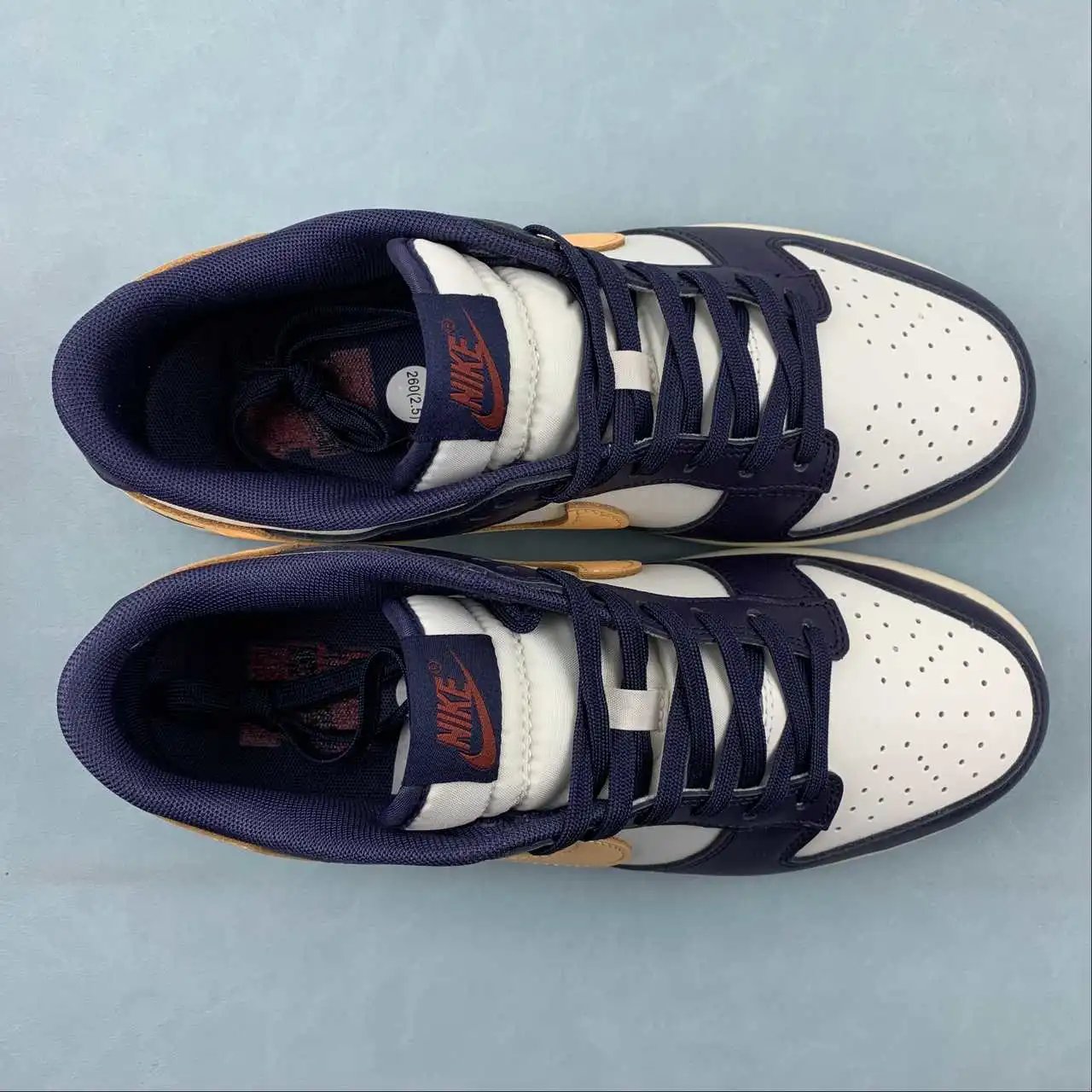 Nike Dunk Low FV8106-181 9
