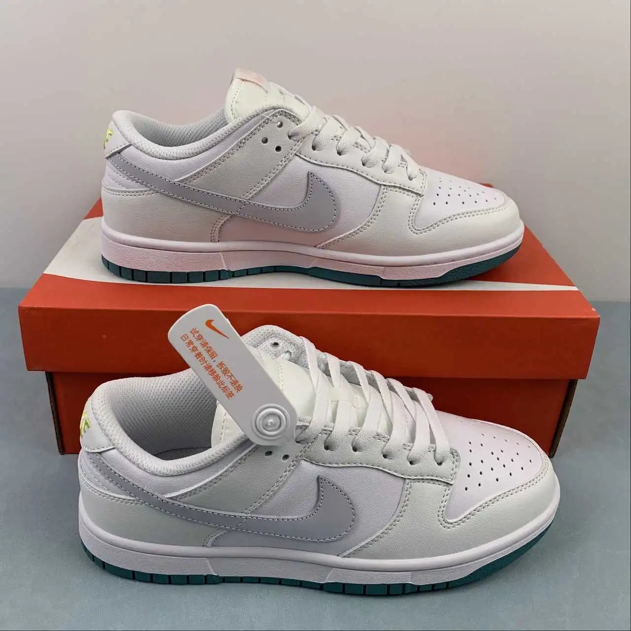 Nike Dunk Low FD9911-101