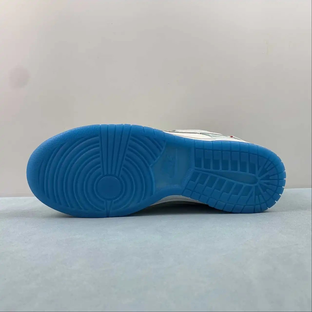 Nike Dunk Low FZ5065-111 12