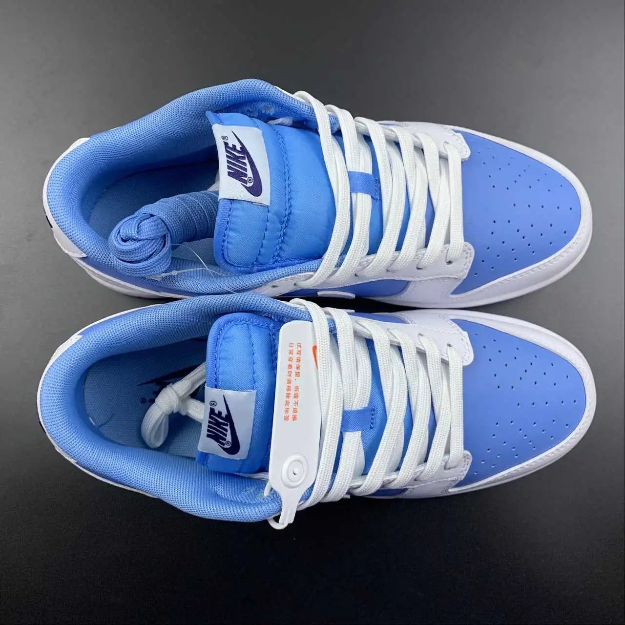 Nike Dunk Low DJ9955-101 9
