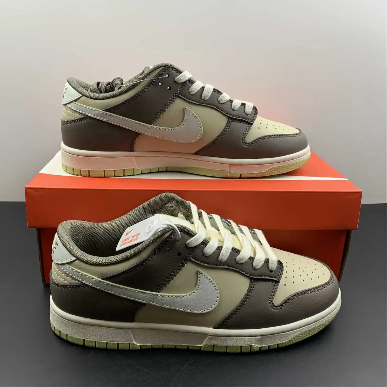 Nike Dunk Low FB4960-210