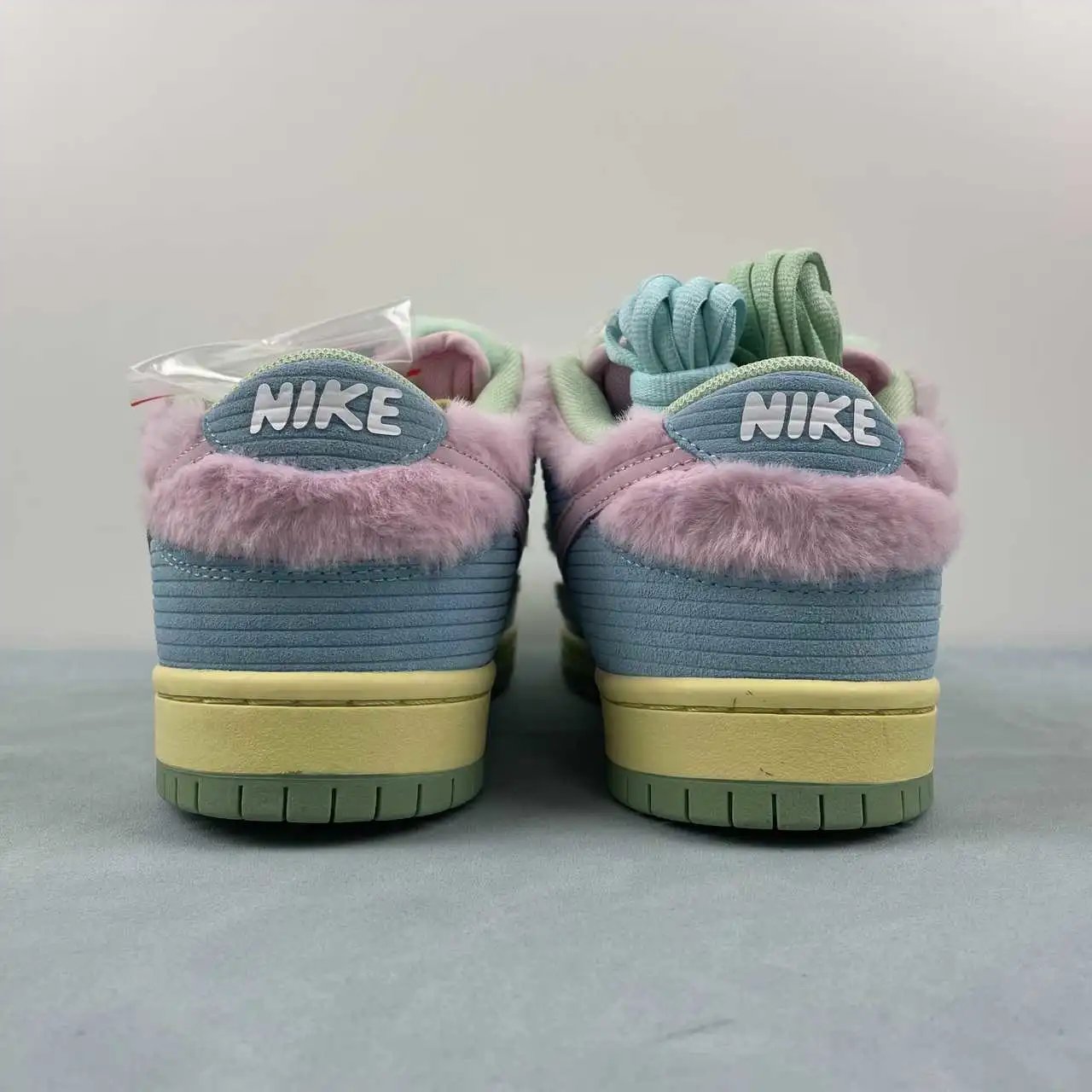 Nike Dunk Low FN6040-400 11