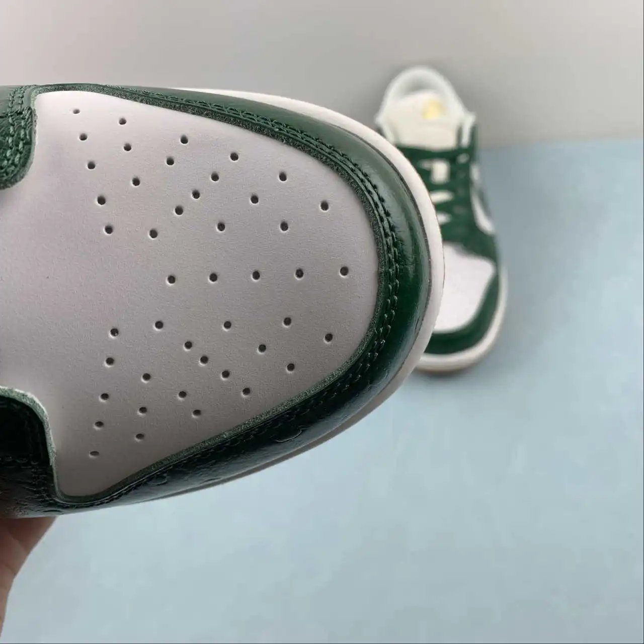 Nike Dunk Low FJ2260-002 8