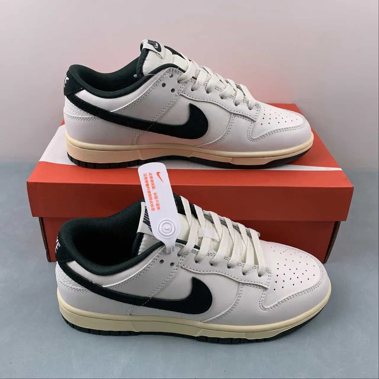 Nike Dunk Low FQ8080-133