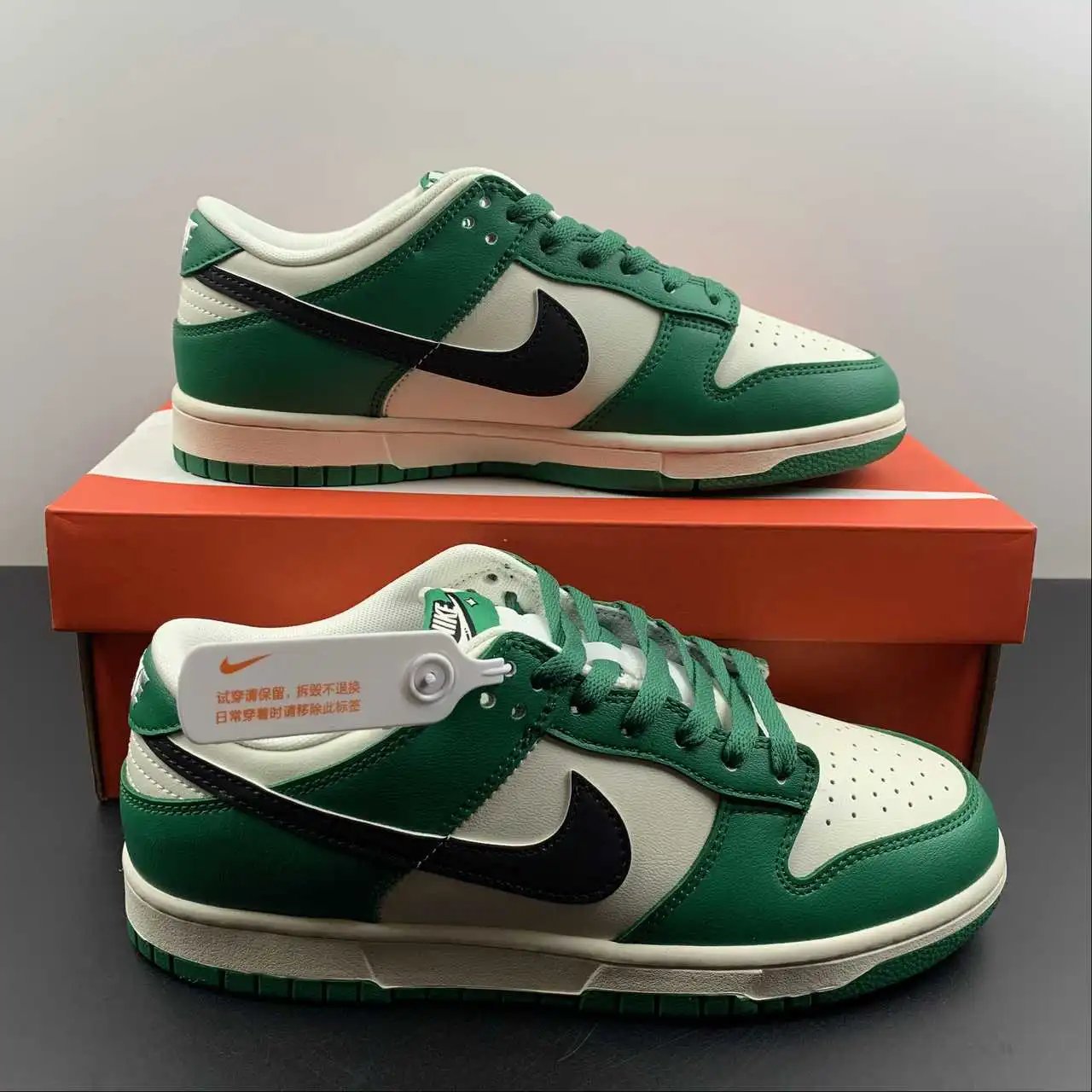 Nike Dunk Low DR9654-100