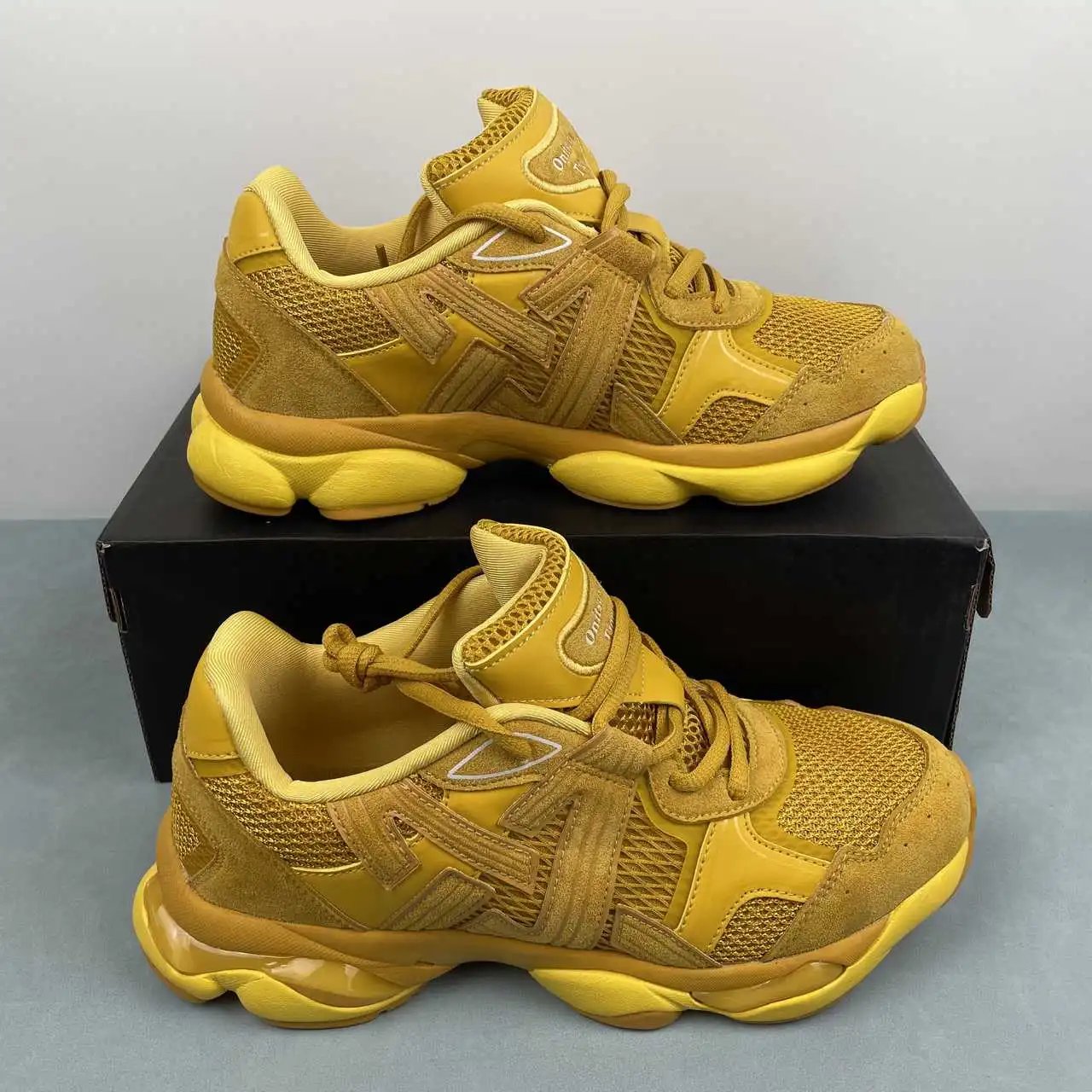 Asics Onitsuka tiger TIGRUN 1183C478-750