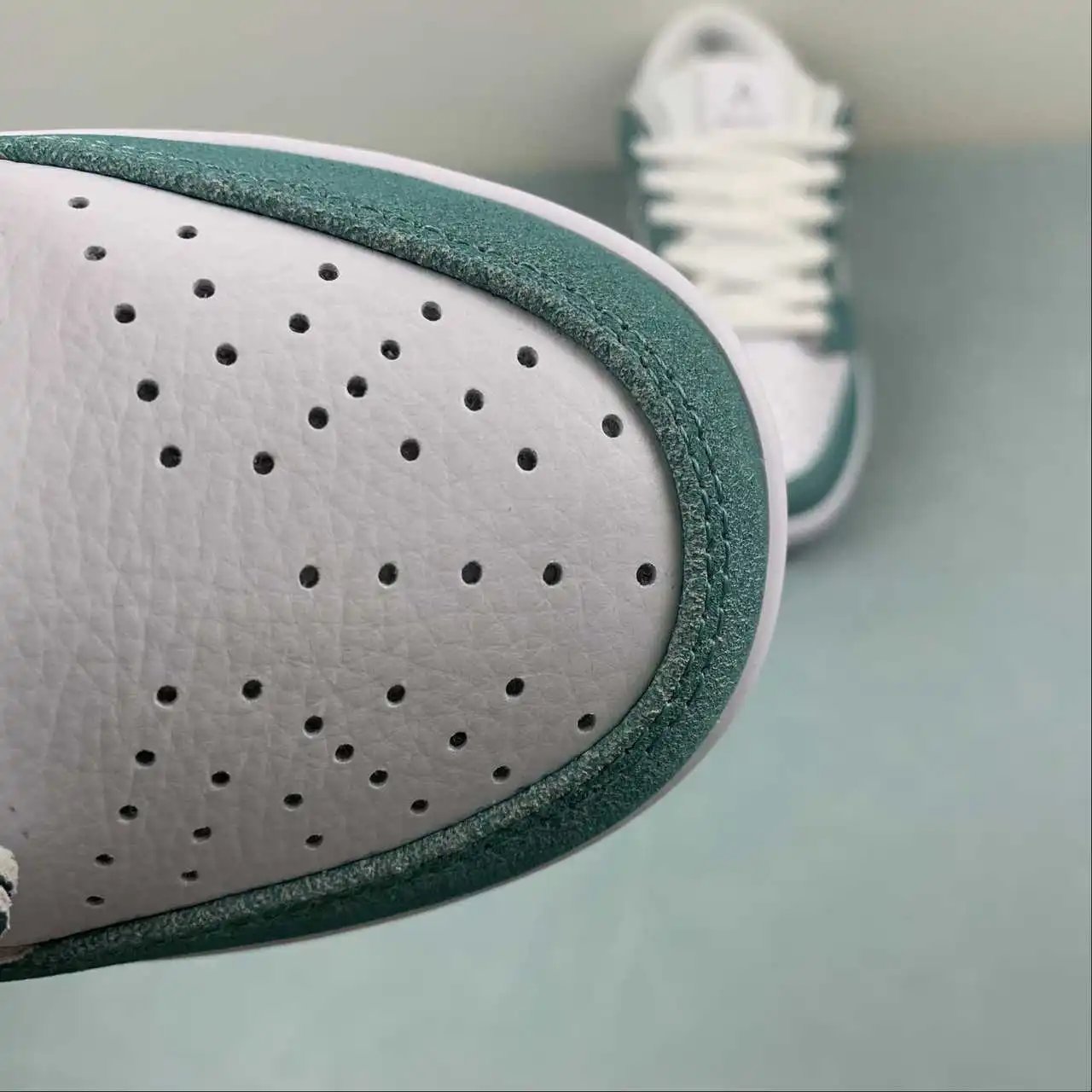 Nike Dunk Low FD2562-400 8