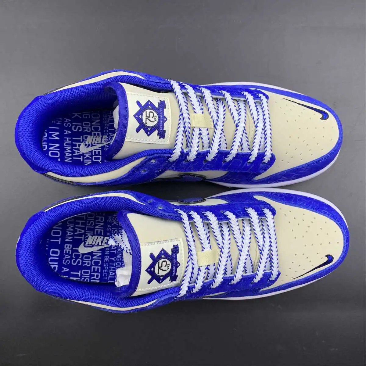 Nike Dunk Low DV2203-400 9