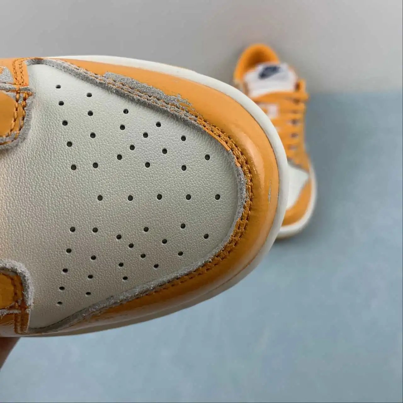 Nike Dunk Low FN3418-100 8